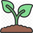 Greenhouse Grass  Icon