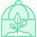 Greenhouse Rows Greenhouse Rows Icon