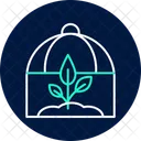 Greenhouse Rows Greenhouse Rows Icon