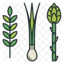 Greens Asparagus Onion Icon