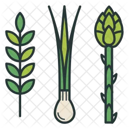 Greens, Asparagus, Onion, Agriculture  Icon