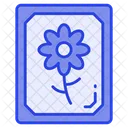 Greeting Card Design Icon
