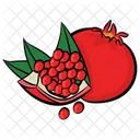 Grenade Fruit Fruit Spherique Icon