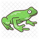 Grenouille Animal Amphibien Icône