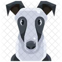Greyhound Icon