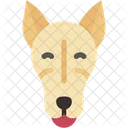 Greyhound Mammal Animal Icon