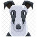 Greyhound  Icon