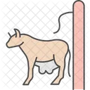 Griffoir Pour Vache Vache Gratter Icône