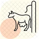 Griffoir Pour Vache Vache Gratter Icône