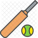 Cricket Pelota Bate Icon