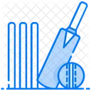 Bate Equipo De Cricket Cricket Icono