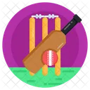 Equipo De Cricket Deportes Juego Icono