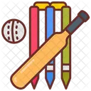 Cricket Partido De Cricket Juego De Pelota Icono