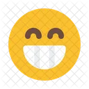 Grinning Emoji Smileys Icon