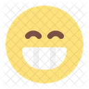 Grinning Emoji Emoticons Icon