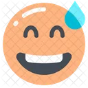 Grinning Face With Sweat  Icon