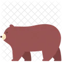 Zoo Animal Grizzly Icon