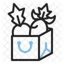Groceries  Icon