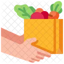 Grocery Delivery  Icon