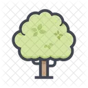 Großer Baum  Symbol