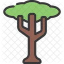 Großer Baum  Symbol