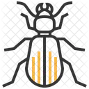 Ground Beetle Insect Icon