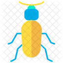 Ground Beetle Icon