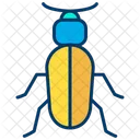 Ground beetle  Icon