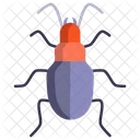 Ground Beetle  Icon