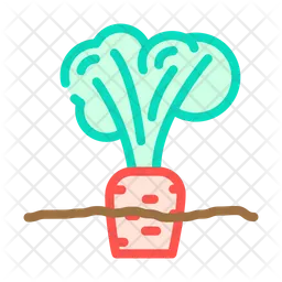 Ground Carrot  Icon