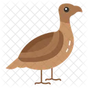 Ground Dwelling Birds Rural Landscapes Game Bird Hunting Icon