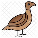 Ground Dwelling Birds Rural Landscapes Game Bird Hunting Icon