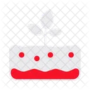 Ground Plant Botanical Icon