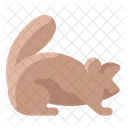 Groundhog  Icon