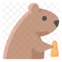 Groundhog Day Groundhog Animal Icon