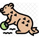 Groundhog Rodent Woodchuck Icon