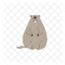 Groundhog Cute Animal Icon