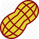 Groundnut  Icon