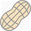 Groundnut  Icon