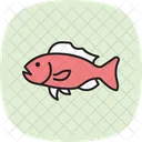 Grouper Ocean Marine Icon