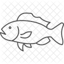 Grouper Ocean Marine Icon