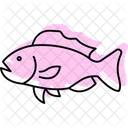 Grouper Ocean Marine Icon