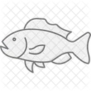 Grouper Ocean Marine Icon