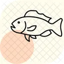 Grouper Ocean Marine Icon