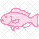 Grouper Ocean Marine Icon