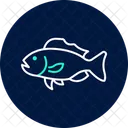 Grouper Ocean Marine Icon