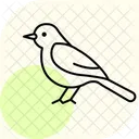 Grouse Bird Game Icon