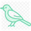 Grouse Bird Game Icon