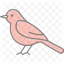 Grouse Bird Game Icon