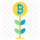 Growth Bitcoin Plant Plant Icon